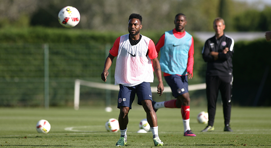 Stéphane Sessegnon, tout sauf un pari