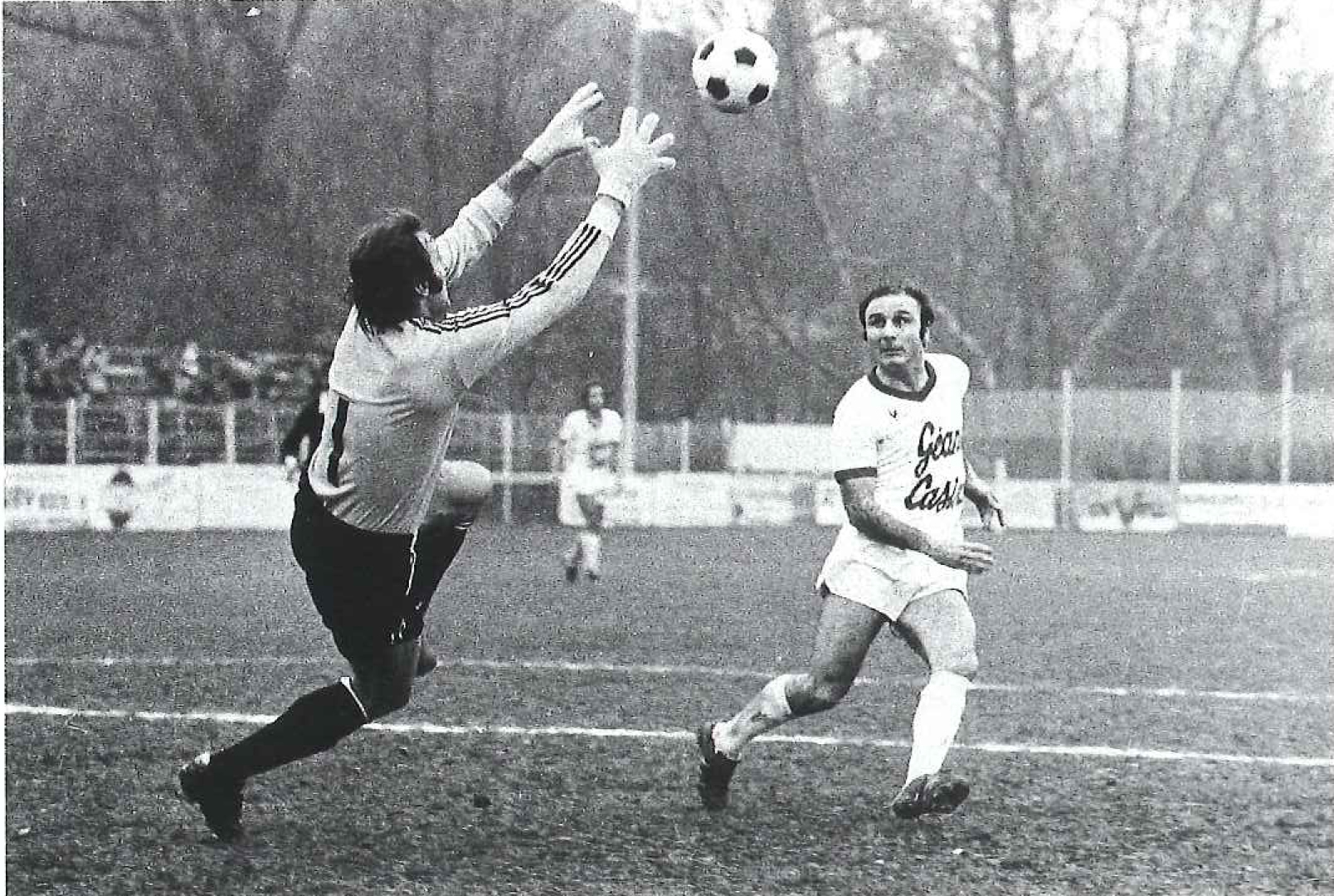 Di Nallo